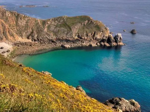 Jolie Maison En Pierre Proche Centre-ville Holiday home